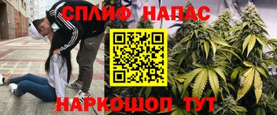 тгк Дубна