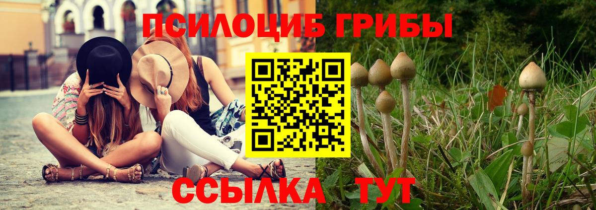 Псилоцибиновые грибы MAGIC MUSHROOMS  Вход с VPN  купить   Заинск 